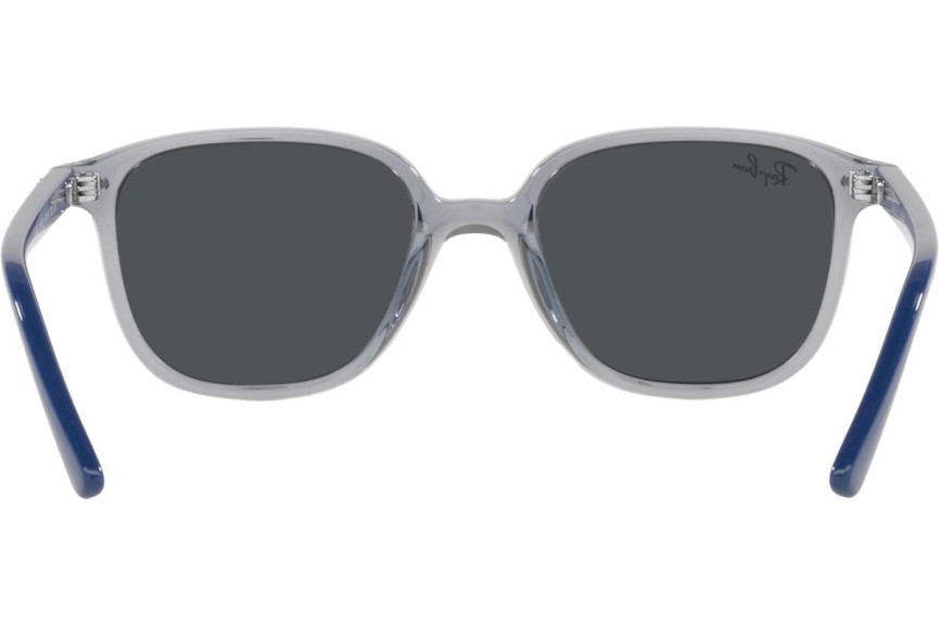 Ray-Ban Junior Junior Leonard RJ9093S 711087