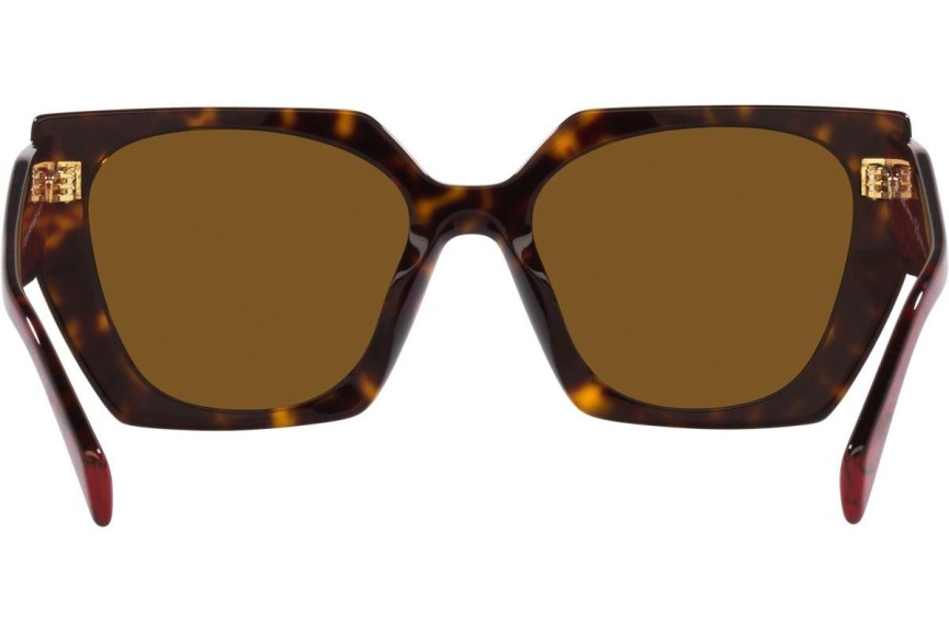 Slnečné okuliare Prada PR15WS 2AU5Y1 Polarized Squared Havana