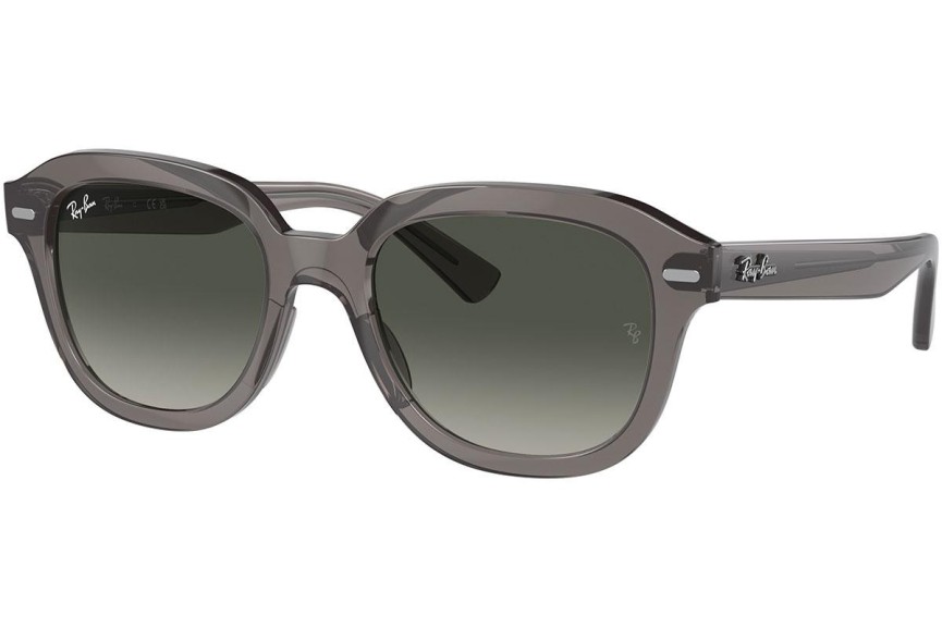 Ray-Ban Erik RB4398 667571