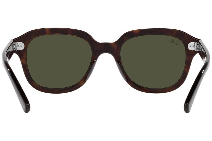 Ray-Ban Erik RB4398 902/31