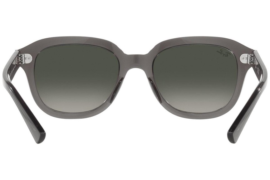 Ray-Ban Erik RB4398 667571