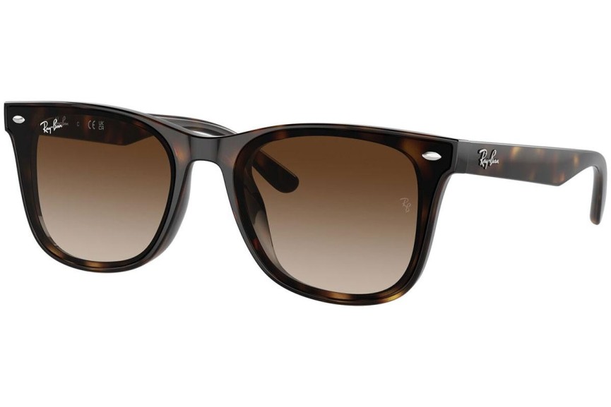 Slnečné okuliare Ray-Ban RB4420 710/13 Squared Havana