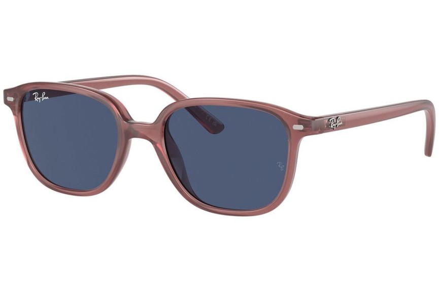 Ray-Ban Junior Junior Leonard RJ9093S 715680