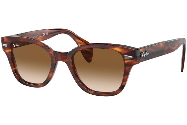 Ray-Ban RB0880S 954/51