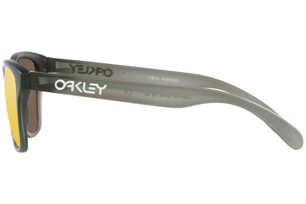Oakley Frogskins XS OJ9006-37 Polarized