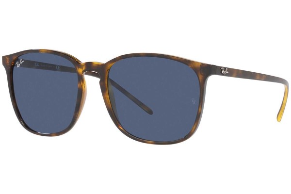 E-shop Ray-Ban RB4387 710/80 - ONE SIZE (56)