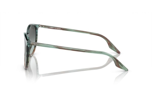 Ray-Ban RB2204 1394GK