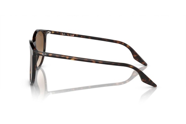 Slnečné okuliare Ray-Ban RB2204 902/51 Okrúhle Havana