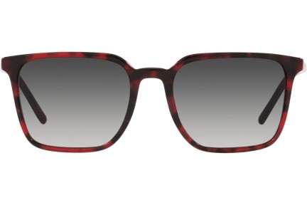 Dolce & Gabbana DG4424 33588G