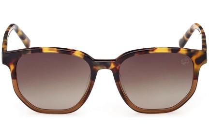 Slnečné okuliare Timberland TB9305-H 53H Polarized Okrúhle Havana