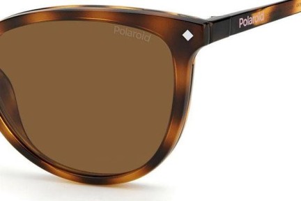 Okuliare Polaroid PLD6138/CS 086/SP Polarized Cat Eye Havana