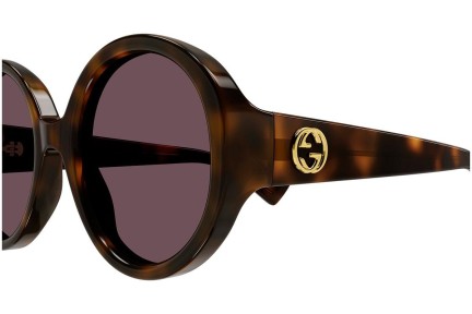 Slnečné okuliare Gucci GG1256S 003 Okrúhle Havana