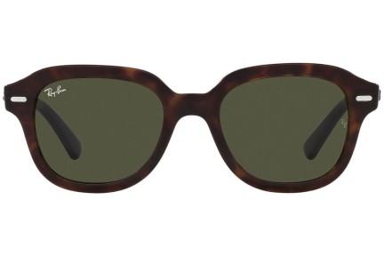 Ray-Ban Erik RB4398 902/31