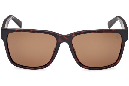 Timberland TB9335-H 52H Polarized