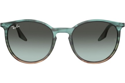 Ray-Ban RB2204 1394GK