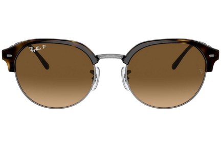 Slnečné okuliare Ray-Ban RB4429 710/M2 Polarized Oválne Havana