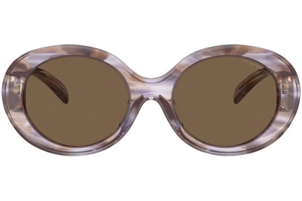 Slnečné okuliare Emporio Armani EA4231U 615673 Okrúhle Hnedé