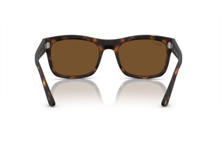 Slnečné okuliare Ray-Ban RB4428 894/57 Polarized Squared Havana