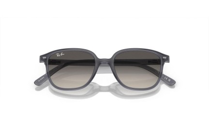 Ray-Ban Junior Junior Leonard RJ9093S 713411