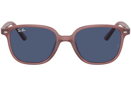 Ray-Ban Junior Junior Leonard RJ9093S 715680