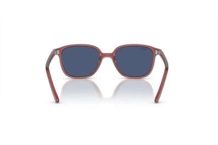 Ray-Ban Junior Junior Leonard RJ9093S 715680