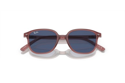 Ray-Ban Junior Junior Leonard RJ9093S 715680