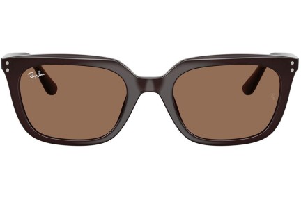 Slnečné okuliare Ray-Ban RB4439D 623173 Squared Hnedé