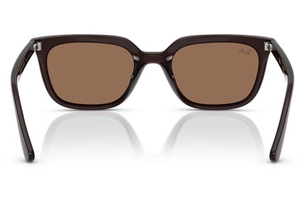 Slnečné okuliare Ray-Ban RB4439D 623173 Squared Hnedé