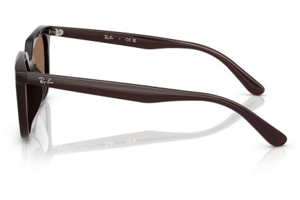 Slnečné okuliare Ray-Ban RB4439D 623173 Squared Hnedé