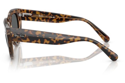 Slnečné okuliare Ray-Ban RB2286 1292B1 Squared Havana