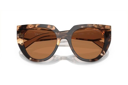 Slnečné okuliare Prada PR14WS 01R2Z1 Cat Eye Havana