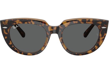 Slnečné okuliare Ray-Ban RB2286 1292B1 Squared Havana