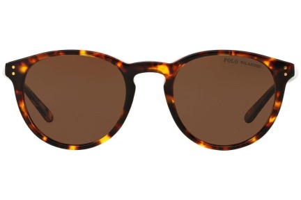 Slnečné okuliare Polo Ralph Lauren PH4110 513483 Polarized Okrúhle Havana