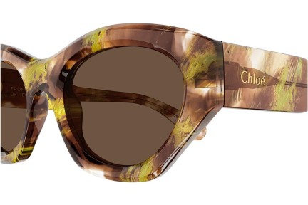 Slnečné okuliare Chloe CH0220S 010 Cat Eye Havana