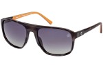 Slnečné okuliare Timberland TB9278 56D Polarized Pilot Havana