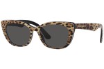 Dolce & Gabbana DX4427 316387