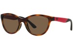 Slnečné okuliare Emporio Armani EK4003 502673 Cat Eye Havana