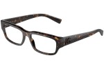 Dolce & Gabbana DG3381 502