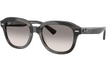 Ray-Ban Erik RB4398 140432