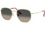 Slnečné okuliare Ray-Ban Hexagonal RB3548N 001/71 Okrúhle Zlaté